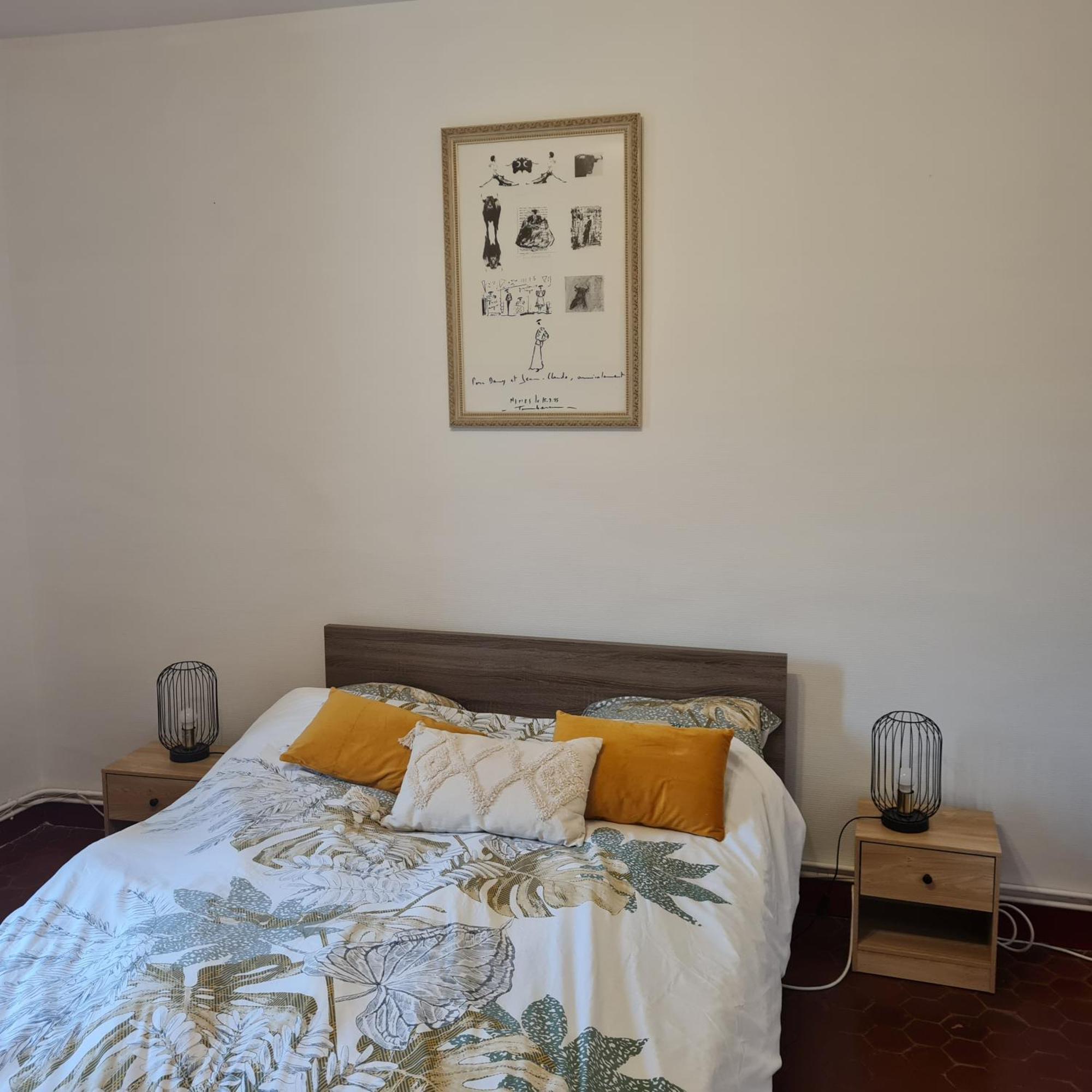 Appartement Nimes Centre ภายนอก รูปภาพ